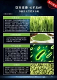 卡喏仙白芸豆益生菌复合粉
